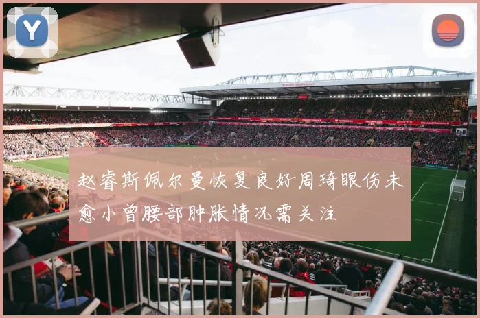 赵睿斯佩尔曼恢复良好周琦眼伤未愈小曾腰部肿胀情况需关注